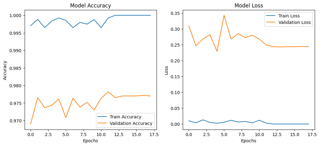 Training Results